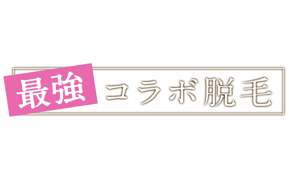 ミントが提案する